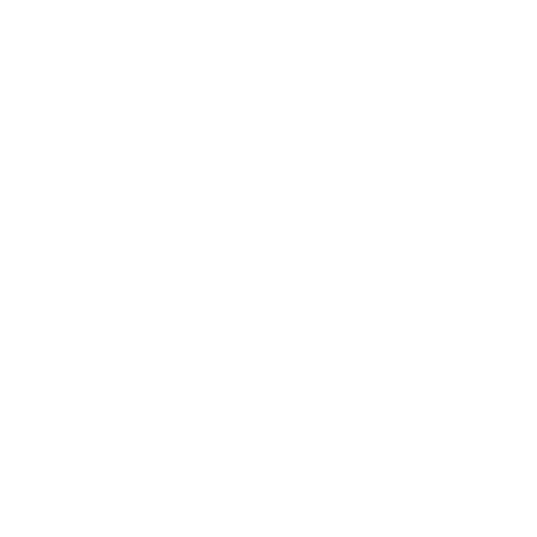 hotel-delhi-airport-plaza-footer-logo